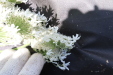 Thumbnail 134.JPG 