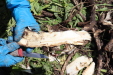 Thumbnail 146.JPG 
