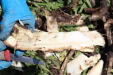 Thumbnail 149.JPG 