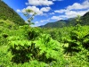 Thumbnail IMG20220704131014.jpg 