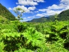 Thumbnail IMG20220704131016.jpg 