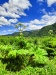 Thumbnail IMG20220704131024.jpg 