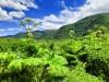 Thumbnail IMG20220704131028.jpg 