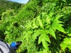 Thumbnail IMG20220704131054.jpg 