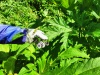 Thumbnail IMG20220704131118.jpg 
