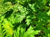 Thumbnail IMG20220704131123.jpg 