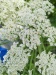 Thumbnail IMG20220704132505.jpg 