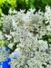 Thumbnail IMG20220704132512.jpg 