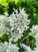 Thumbnail IMG20220704132517.jpg 