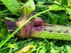 Thumbnail IMG20220704132604.jpg 