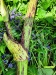 Thumbnail IMG20220704132615.jpg 