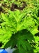 Thumbnail IMG20220704132651.jpg 