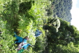 Thumbnail IMG_1481.JPG 