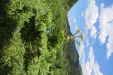 Thumbnail IMG_1482.JPG 