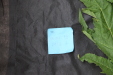 Thumbnail IMG_1617.JPG 