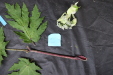 Thumbnail IMG_1629.JPG 