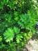 Thumbnail IMG20220705112213.jpg 