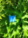 Thumbnail IMG20220705112848.jpg 