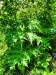 Thumbnail IMG20220705112854.jpg 