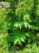 Thumbnail IMG20220705112910.jpg 