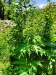 Thumbnail IMG20220705112912.jpg 