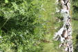 Thumbnail IMG_1716.JPG 