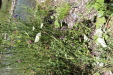 Thumbnail IMG_1725.JPG 