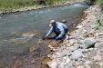 Thumbnail IMG_1746.JPG 