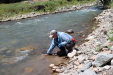 Thumbnail IMG_1748.JPG 