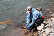 Thumbnail IMG_1750.JPG 