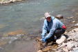 Thumbnail IMG_1751.JPG 