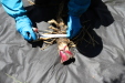 Thumbnail IMG_1765.JPG 