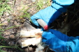 Thumbnail IMG_1776.JPG 