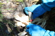 Thumbnail IMG_1777.JPG 