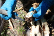 Thumbnail IMG_1778.JPG 