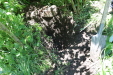 Thumbnail IMG_1780.JPG 