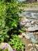 Thumbnail IMG20220705121120.jpg 