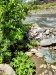 Thumbnail IMG20220705121122.jpg 