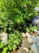 Thumbnail IMG20220705121129.jpg 