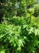 Thumbnail IMG20220705121820.jpg 