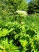 Thumbnail IMG20220705121909.jpg 