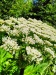 Thumbnail IMG20220705122538.jpg 