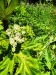 Thumbnail IMG20220705122541.jpg 