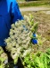 Thumbnail IMG20220705122921.jpg 