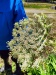 Thumbnail IMG20220705122924.jpg 