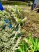 Thumbnail IMG20220705122926.jpg 