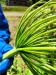 Thumbnail IMG20220705122936.jpg 