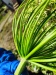 Thumbnail IMG20220705122939.jpg 