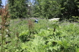 Thumbnail IMG_1803.JPG 