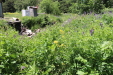 Thumbnail IMG_1814.JPG 